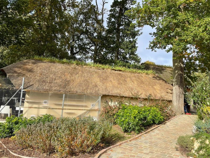 faitage en terre cru avec iris sur une toiture en chaume - Art et Elégance Couverture