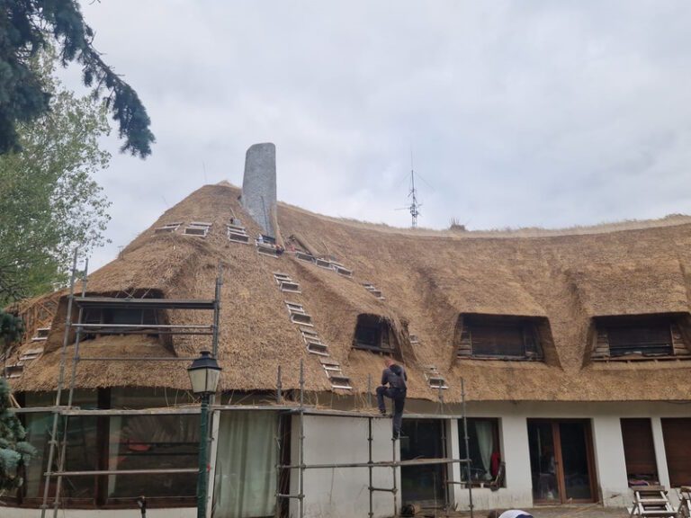 Rénovation d'une toiture en chaume réalisé par nos chaumiers - Art et Elégance Couverture