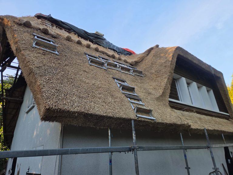 Bourgogne-Franche-Comté : le chaume, entre patrimoine rural et nouvelles architectures